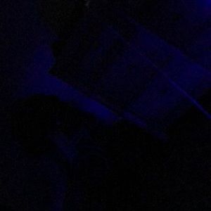 Meet your Posher, Ricky